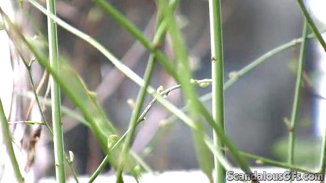 Sexy Girl Gets Filmed In the Shower