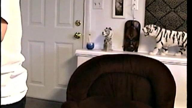 Working Paulie's Tool