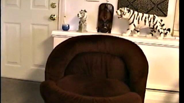 Working Paulie's Tool