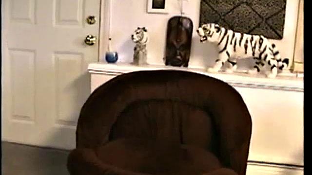 Working Paulie's Tool