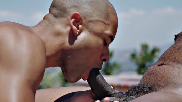 чёрный жеребец сосёт у бассейна, потом трахается без резинки