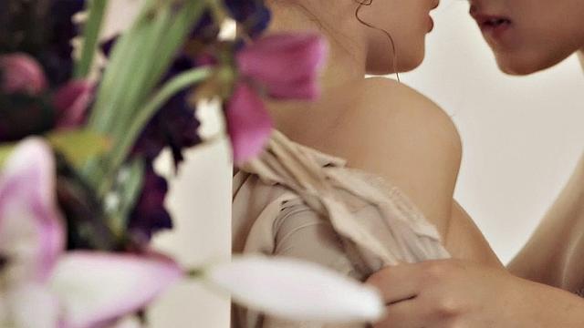 Vintage Collection Partiers