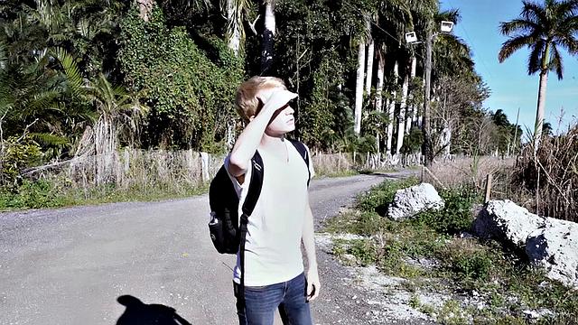 Helpless Boys - Alex Meyer - Blondie Needs A Lift