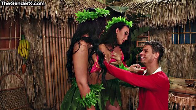 Trans beauties buttfucked by lucky guy