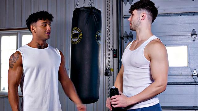Sparring Buddy