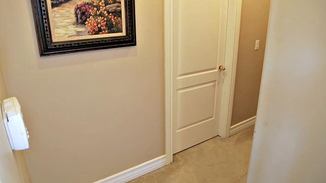 Tiny Tunes And Tiny Tits