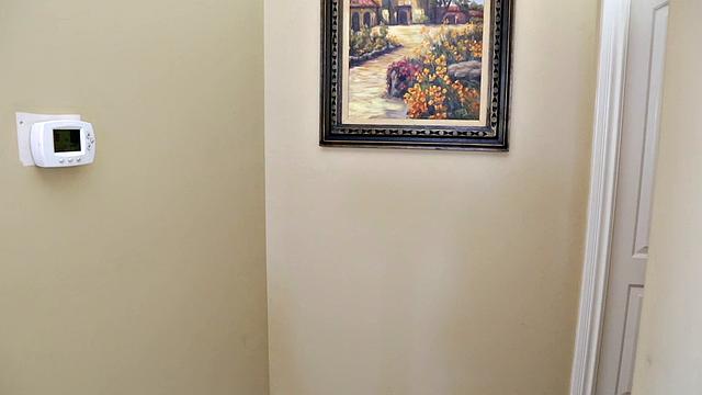 Tiny Tunes And Tiny Tits