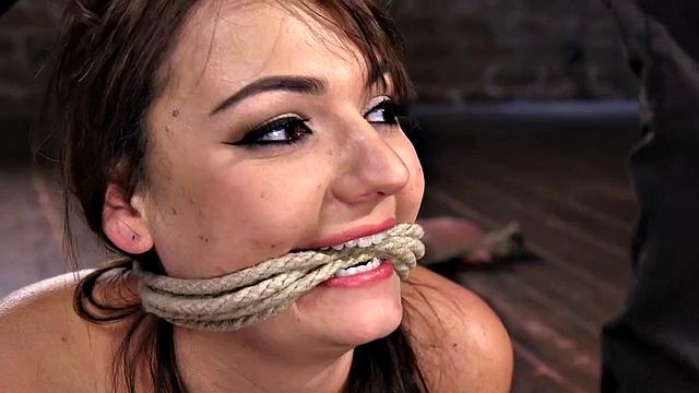 A busty babe hogtied and pleasured with toys and fingers