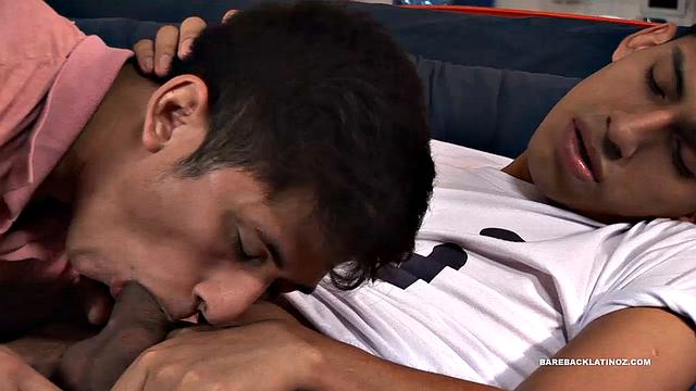 Latin boys Alejo and Elio are hanging out on the sofa when a hand signals the start of their bareback living room romp.