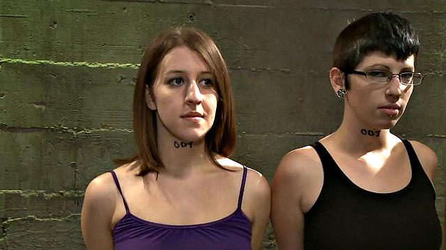 Session for spex subject during group session