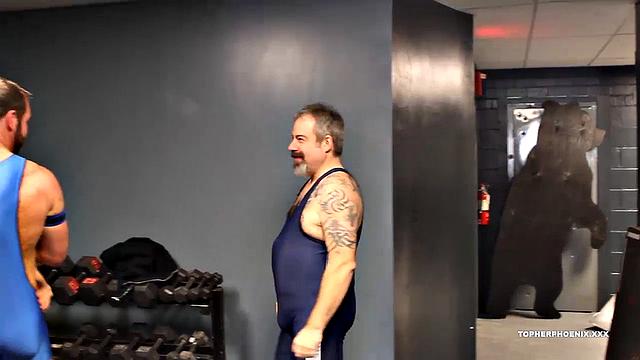 тренер застал медведей за групповым сексом