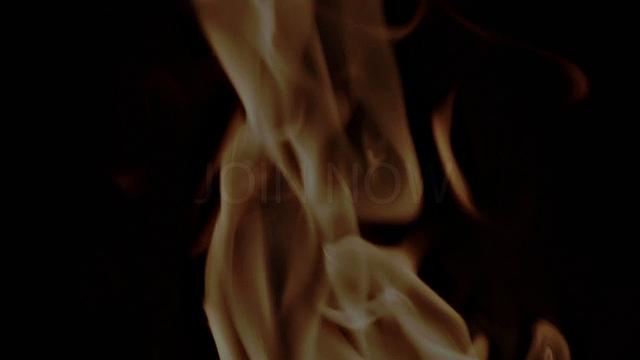 APPRENTICE TYLER Chapter 3 - Anointing