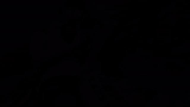 Jirka Holas and Tomas Rybak