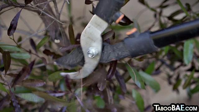 Широкозадая в чулках глубоко сосет любовнику перед жарким трахом в киску.