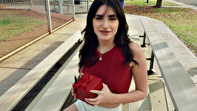 Life is Like a Box of Butt Plugs