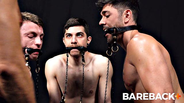 Stable Master Stud Cums Vol. 4