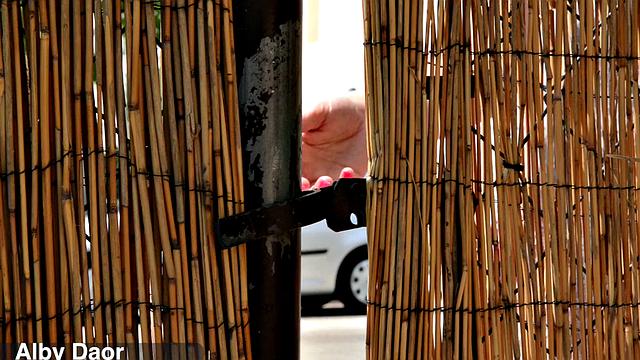 Alby's helpful neighbor