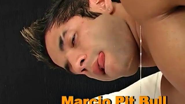 Marcio Pitbull