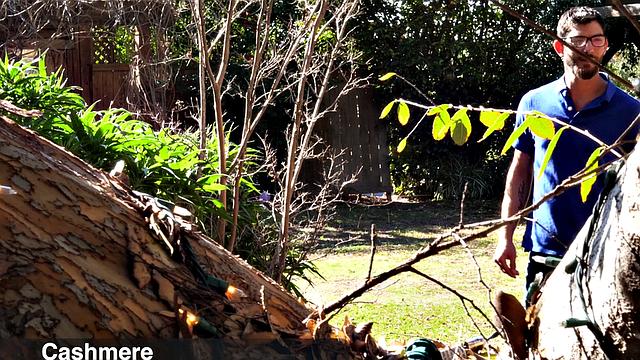 Cashmere's Afternoon Anal 