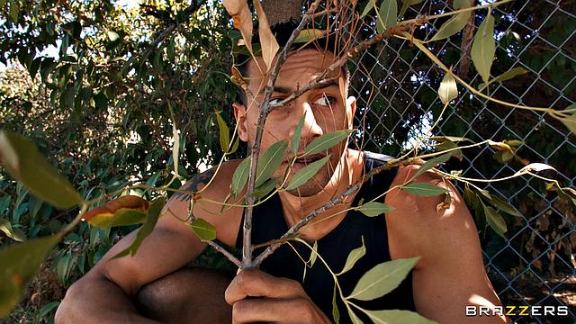 He Likes Seats And He Cannot Lie