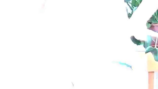 Panty Party with Hot Blonde Teens