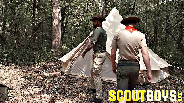 SCOUT COLE Chapter 1 - Check