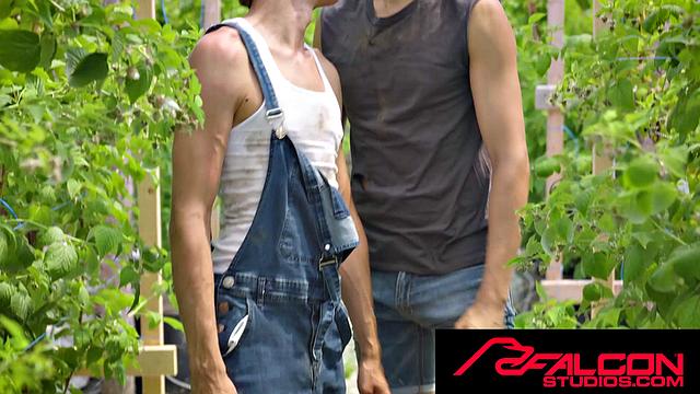 FalconStudios - Super HOT FARMER JOCKS Take Time Off To FUCK HARD