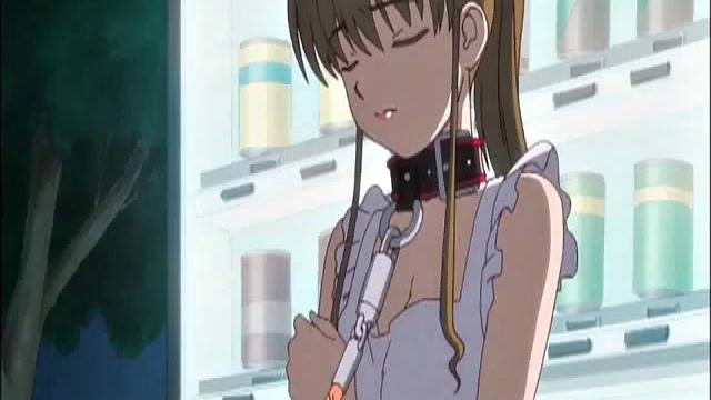 Sexy Big Tit Slave Walks On A Leash Outdoors