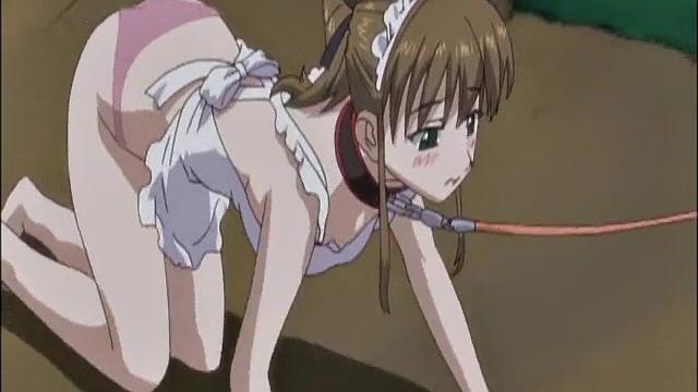 Sexy Big Tit Slave Walks On A Leash Outdoors