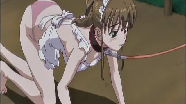 Sexy Big Tit Slave Walks On A Leash Outdoors