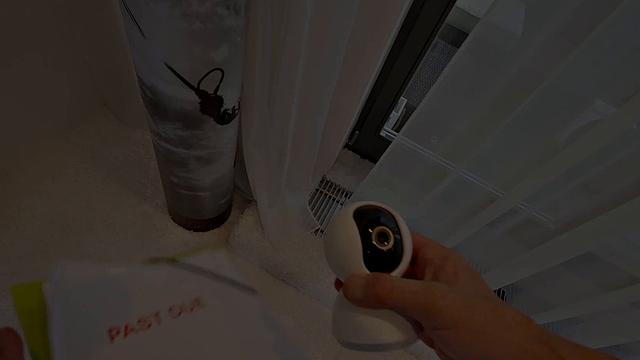 DEBT4k. Horsegirl Summer