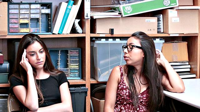 Case No. 4469525 - Petty Theft