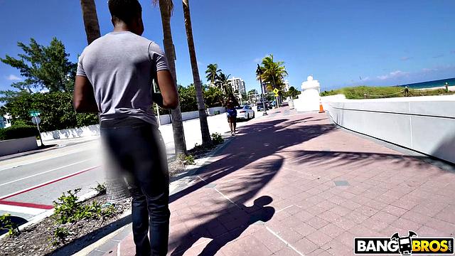 A Slice of Cake in Miami!