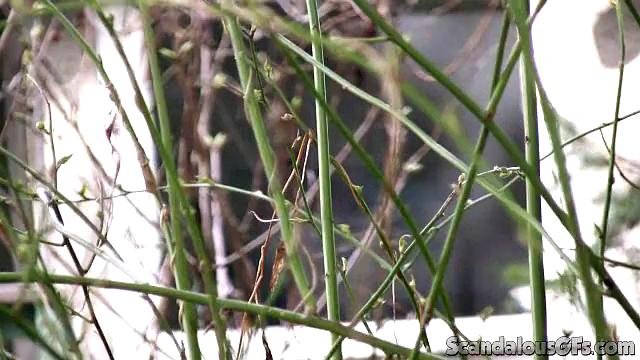Sexy Girl Gets Filmed In the Shower