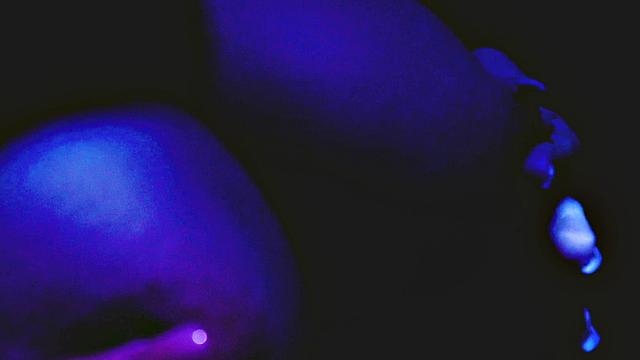 Kayley Gunner - Fade to Black