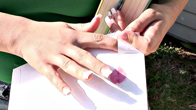 Pounding The Pledges 2