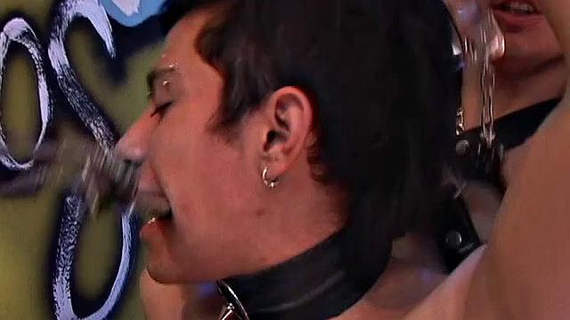 Уолтер, Дейви и Тито не сдерживают страсть, жёстко трахаются втроём без презерватива