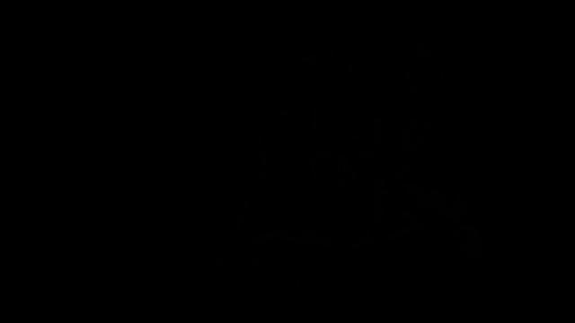 THE BUYER'S GROUP - Party Favor