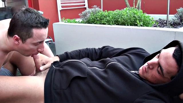 два жеребца тусуются на природе: кто первый сдастся на член?