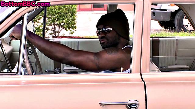 Bottomed ebony slammed by white