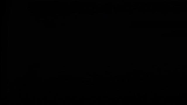 Amateur Bizarre Volume 2 