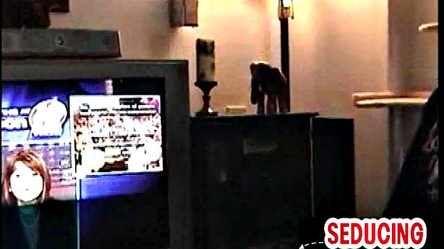 Naughty stud gets blowjob by gay