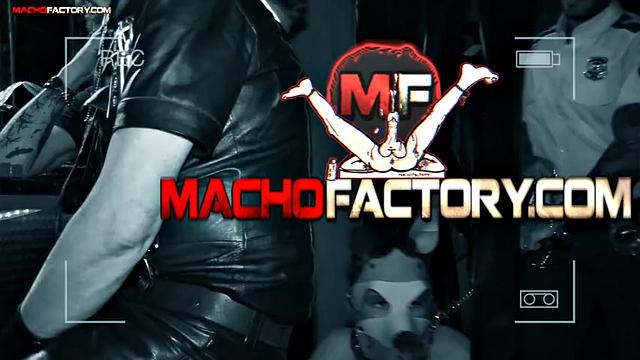 Puppy Fetish - The Sex Club Doggy Style