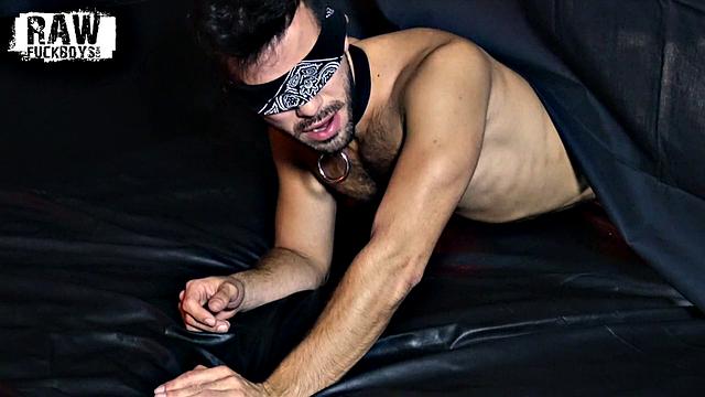 Koda and Riley Chapter 2