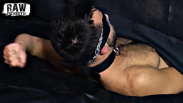 Koda and Riley Chapter 2