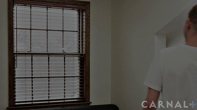 Noah's Apartment Search Vol. 2