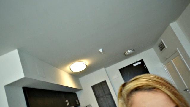 The Holly Hendrix Experience