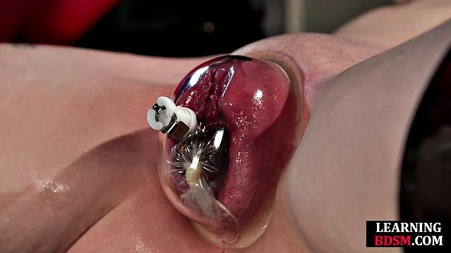 Stunning horny bae toyed by master