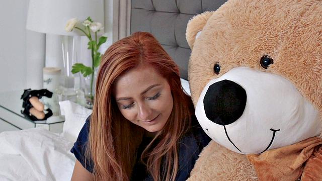 Immature Spinner Caught A Teddy Bear