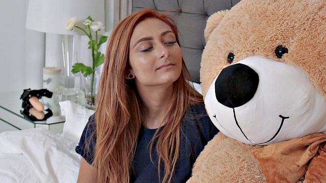 Immature Spinner Caught A Teddy Bear